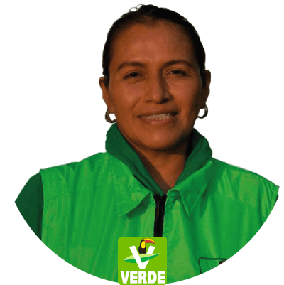 Candidatura Diputación Migrante PVEM